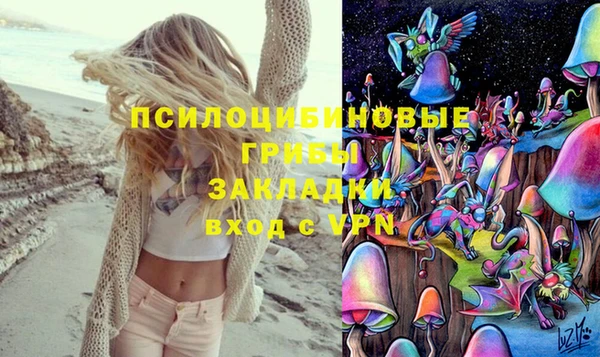 ECSTASY Володарск