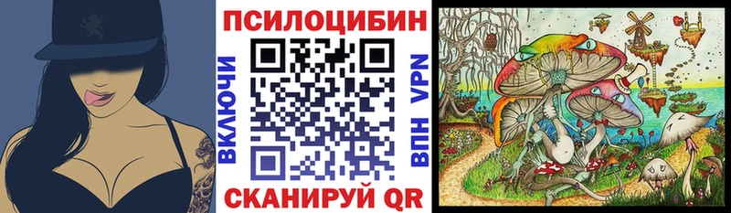 закладка  Заволжье  гидра как войти  Псилоцибиновые грибы Psilocybe 